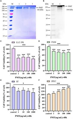 Revealing the lethal effects of Pasteurella multocida toxin on multiple organ systems